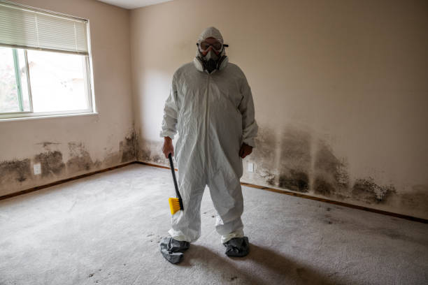 Professional Mold Removal in Seward, NE